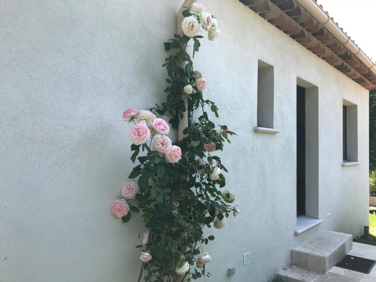 Villa L'Art De Fer سان بول دي فينس المظهر الخارجي الصورة